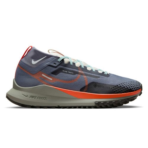 Nike Pegasus Trail 4 GX (DJ7926-006) [1]