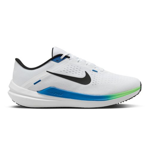 Nike Winflo 10 (FN7992-101) [1]