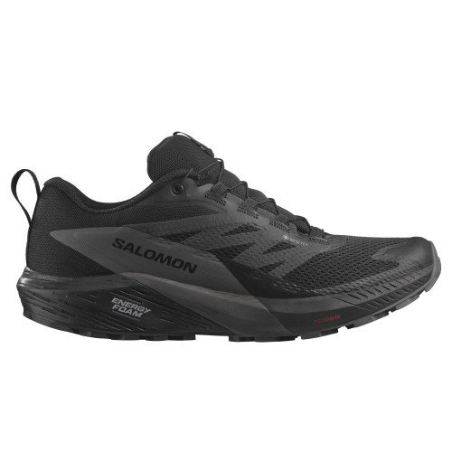 Salomon SENSE RIDE 5 GTX (L47147200) [1]