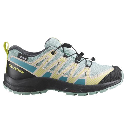 Salomon XA PRO V8 CSWP (L47434800) [1]