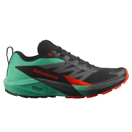 Salomon SENSE RIDE 5 (L47698200) [1]