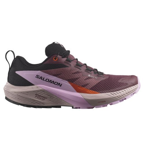 Salomon SENSE RIDE 5 GTX (L47592300) [1]