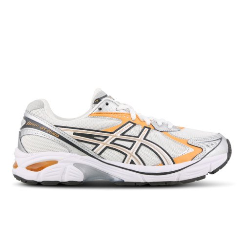 Asics Gt 2160 (1203A320-101) [1]