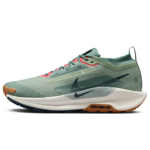 Nike Pegasus Trail 5 GORE-TEX (FQ0908-300) [1]