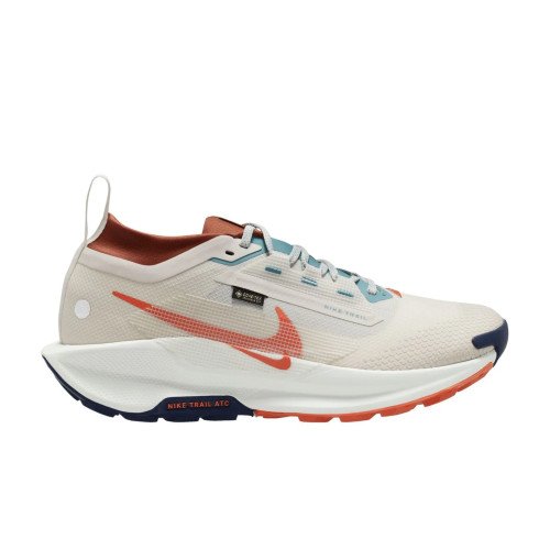 Nike Pegasus Trail 5 GTX (FQ0908) [1]