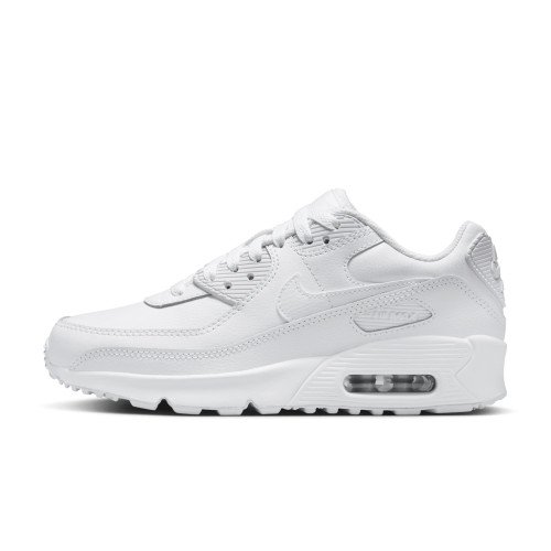 Nike Air Max 90 (GS) (HF6358-102) [1]