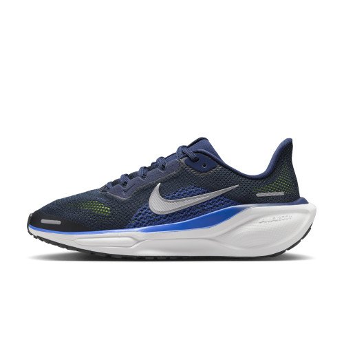 Nike Pegasus 41 (FN5041-400) [1]