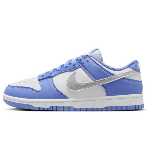 Nike Dunk Low (DD1873-402) [1]