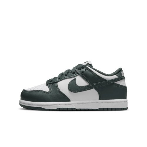 Nike Dunk Low (FB9108-120) [1]