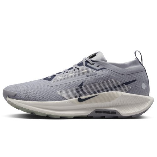 Nike Pegasus Trail 5 GORE-TEX (FQ0908-006) [1]