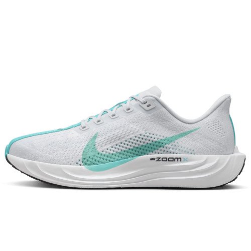 Nike Pegasus Plus (FQ7262-004) [1]