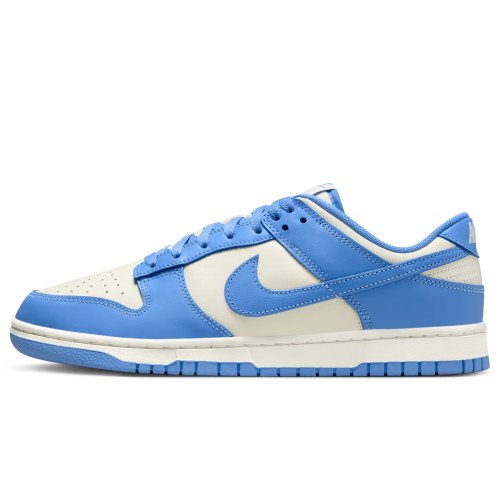 Nike Dunk Low Retro (DV0833-113) [1]