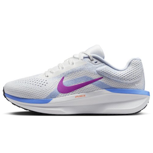 Nike Winflo 11 (FJ9510-103) [1]