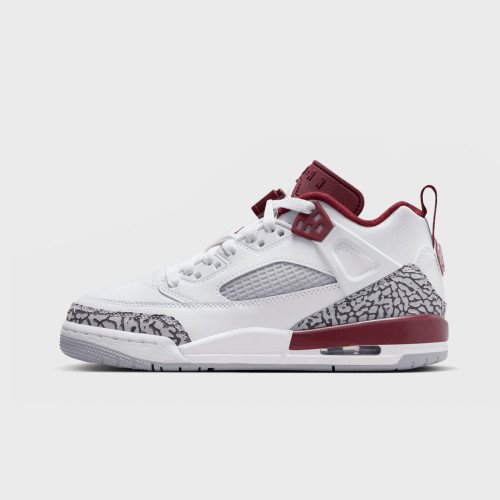 Nike Jordan Spizike Low (GS) (FQ3950106) [1]