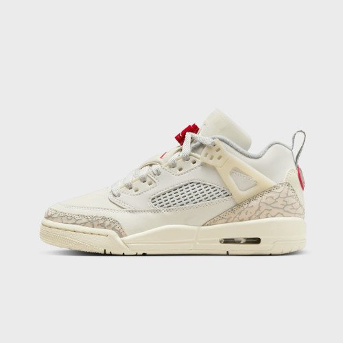 Nike Jordan Spizike Low (GS) (FQ3950100) [1]