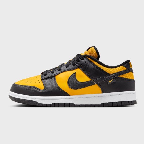 Nike Dunk Low Retro (FZ4618001) [1]