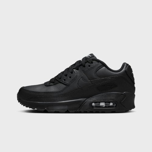 Nike Air Max 90 (GS) (HF6358001) [1]