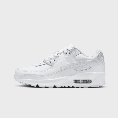 Nike Air Max 90 (GS) (HF6358102) [1]