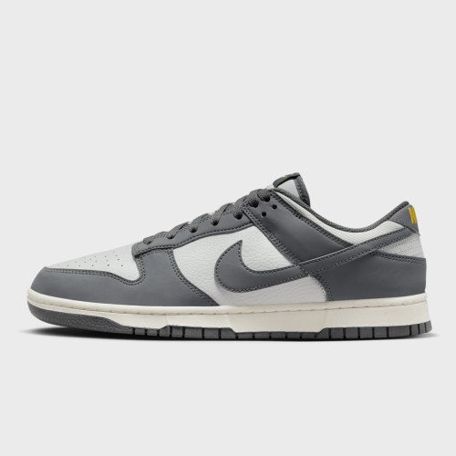 Nike Dunk Low Next Nature (FZ4621001) [1]