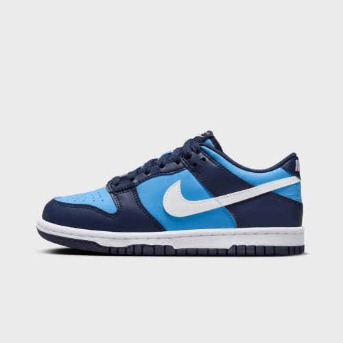 Nike Dunk Low (GS) (HF0031400) [1]