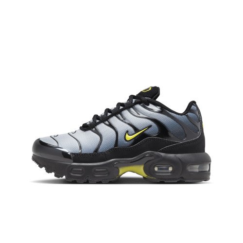 Nike Air Max Plus (CD0610-033) [1]