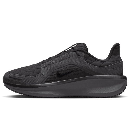 Nike Winflo 11 GORE-TEX (FQ1358-001) [1]