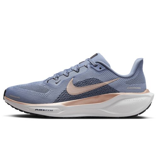 Nike Pegasus 41 (FD2723-403) [1]