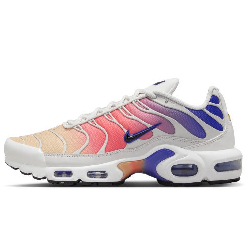 Nike Air Max Plus (DZ3670-003) [1]