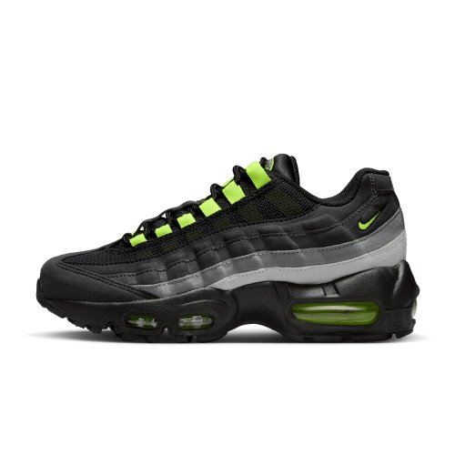 Nike Air Max 95 (FV7016-001) [1]