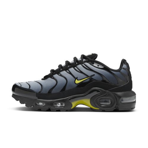 Nike Air Max Plus (CD0609-033) [1]