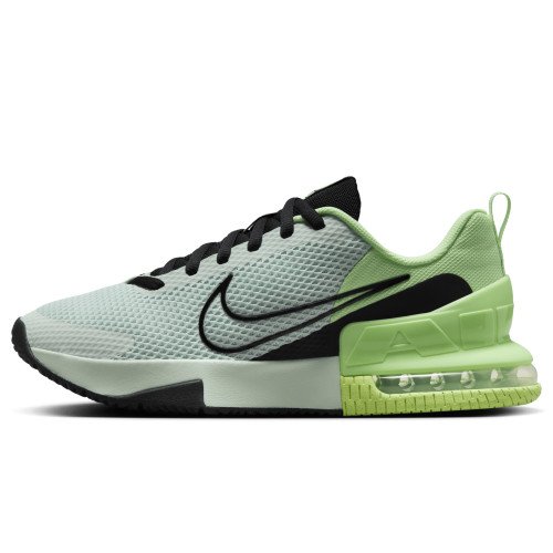 Nike Air Max Alpha Trainer 6 (FQ1833-300) [1]