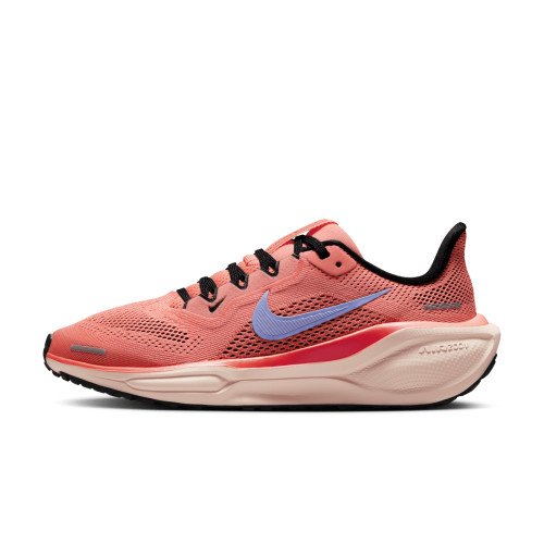 Nike Pegasus 41 (FN5041-600) [1]