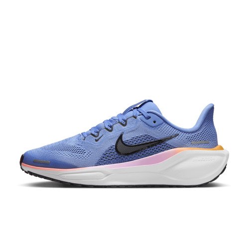 Nike Pegasus 41 (FN5041-403) [1]