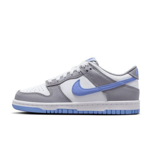 Nike Dunk Low (FB9109-121) [1]