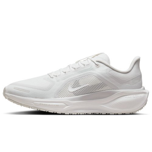 Nike Pegasus 41 GORE-TEX (FQ1356-101) [1]