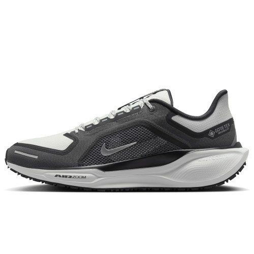 Nike Pegasus 41 GORE-TEX (FQ1356-002) [1]