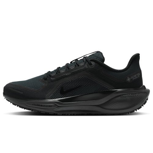 Nike Pegasus 41 GORE-TEX (FQ1356-001) [1]