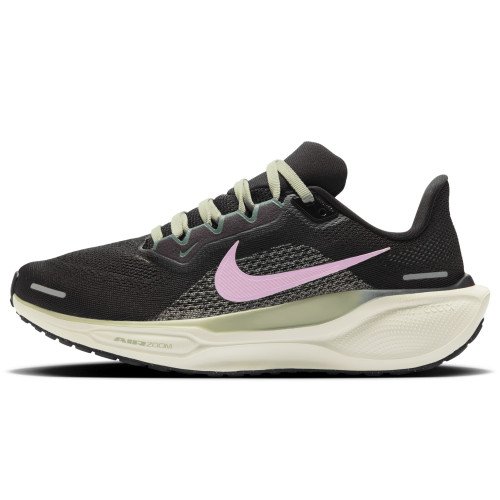 Nike Pegasus 41 (FD2723-009) [1]