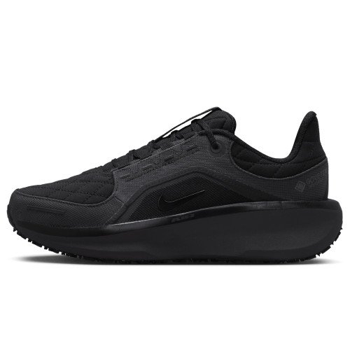 Nike Winflo 11 GORE-TEX (FQ1359-001) [1]