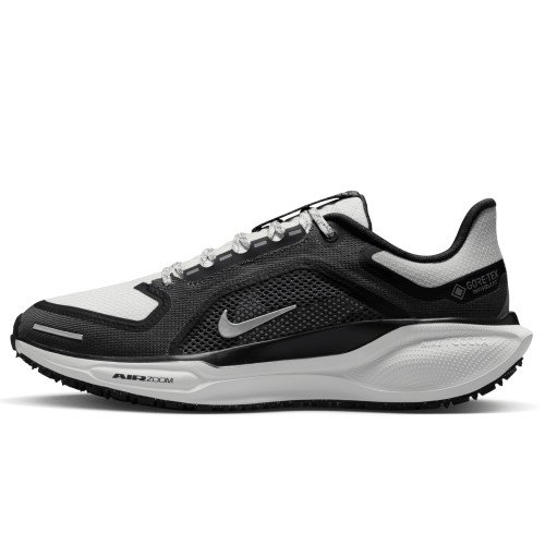 Nike Pegasus 41 GORE-TEX (FQ1357-002) [1]