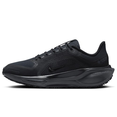 Nike Pegasus 41 GORE-TEX (FQ1357-001) [1]