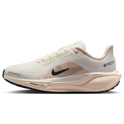 Nike Pegasus 41 GORE-TEX (FQ1357-100) [1]