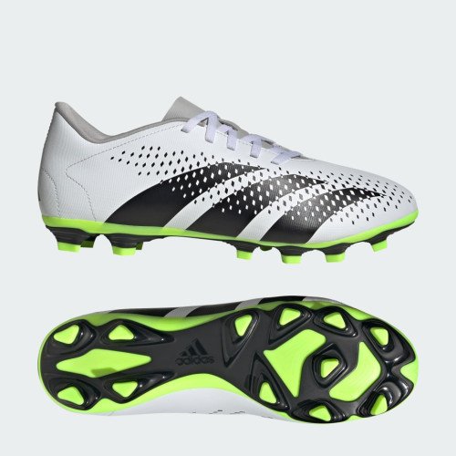 adidas Originals Predator Accuracy.4 FxG (GZ0013) [1]