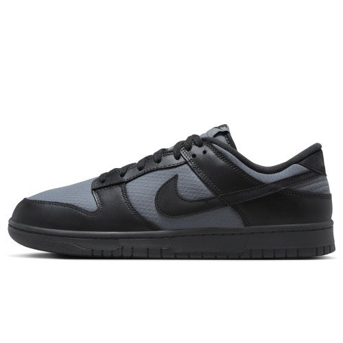 Nike Dunk Low Retro SE (FZ3052-001) [1]