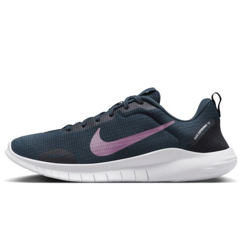 Nike Flex Experience Run 12 (DV0746-401) [1]