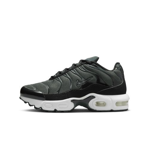 Nike Air Max Plus (CD0610-302) [1]