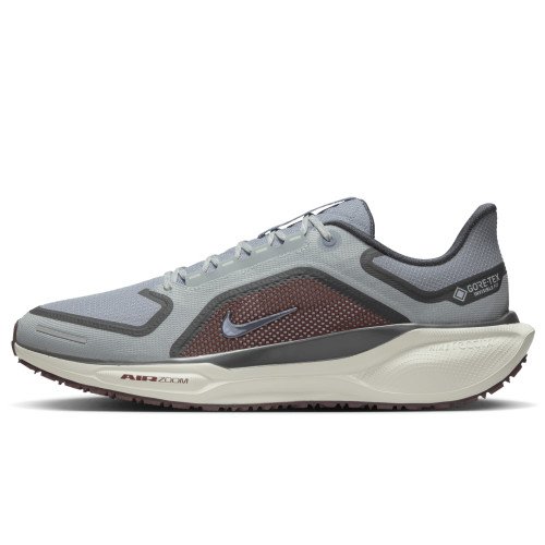 Nike Pegasus 41 GORE-TEX (FQ1356-003) [1]