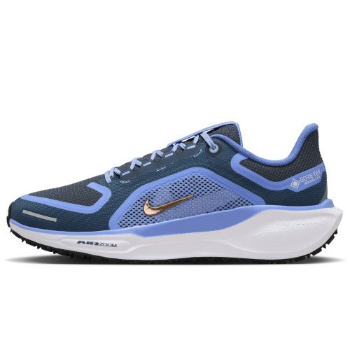 Nike Pegasus 41 GORE-TEX (FQ1357-400) [1]