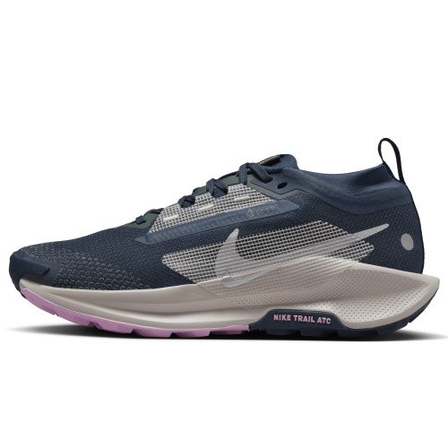 Nike Pegasus Trail 5 GORE-TEX (FQ0912-400) [1]