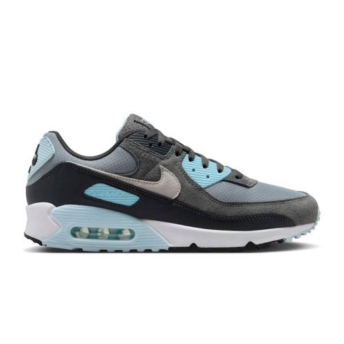 Nike Air Max 90 (DM0029-009) [1]